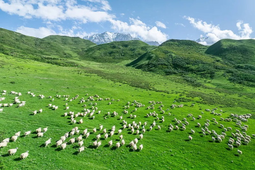 必博·(BIBO)官方网站